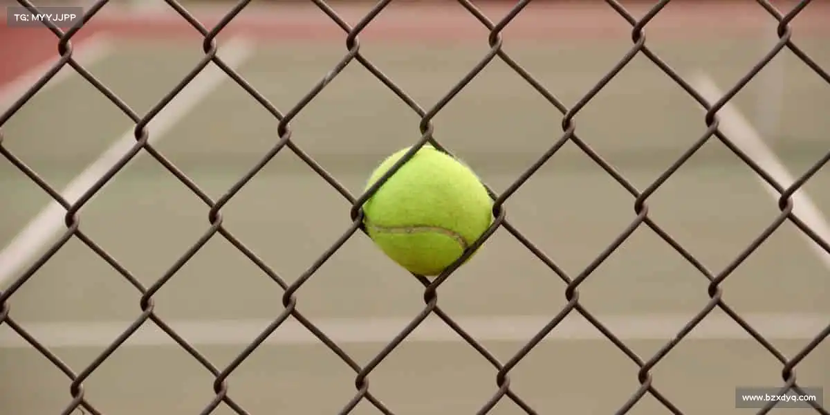 <strong>DB电竞官网</strong>💪汗水铸就热爱，体育让生活充满力量感！